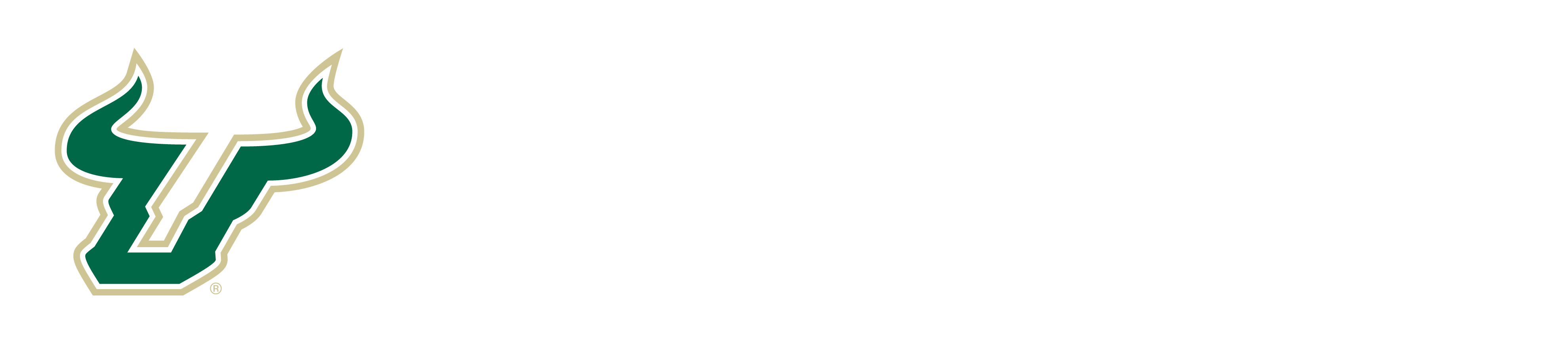 University of South Florida Footer Logo